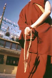 Photograph by Calina Zadravetz