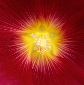 Red Fire by John Glover