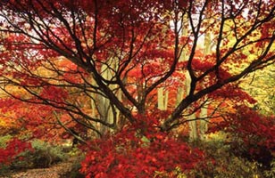 Photograph by John Glover